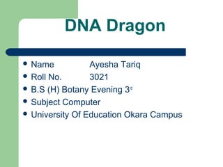 DNA Dragon 
 Name Ayesha Tariq 
 Roll No. 3021 
 B.S (H) Botany Evening 3rd 
 Subject Computer 
 University Of Education Okara Campus 
 