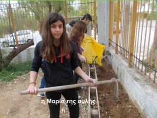 η Μαρία της αυλής
 