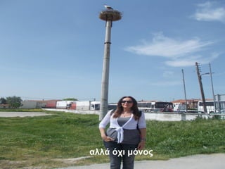 αλλά όχι μόνος
 