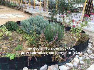 την άνοιξη θα είσαι κούκλος
με ντοματούλες και μοσχομπίζελα
 