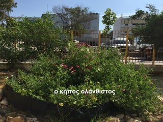 ο κήπος ολάνθιστος
 