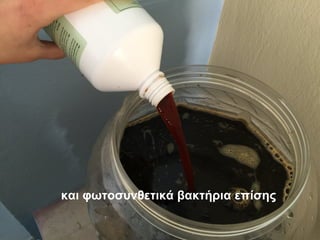 και φωτοσυνθετικά βακτήρια επίσης
 