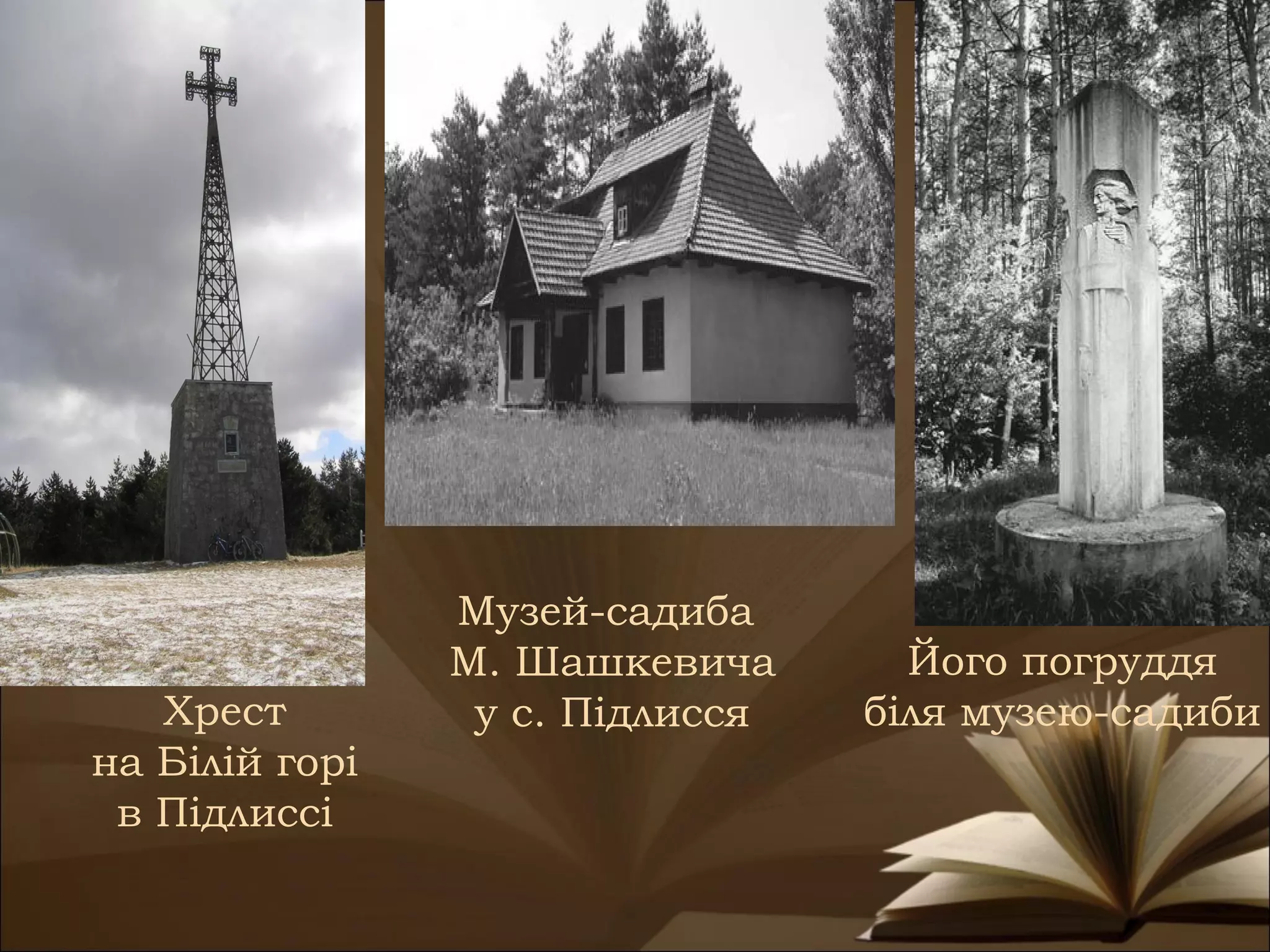 Музей-садиба
                М. Шашкевича       Його погруддя
   Хрест         у с. Підлисся   біля музею-садиби
на Білій горі
 в Підлиссі
 
