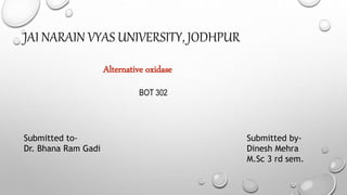 JAI NARAIN VYAS UNIVERSITY, JODHPUR
Alternative oxidase
BOT 302
Submitted to-
Dr. Bhana Ram Gadi
Submitted by-
Dinesh Mehra
M.Sc 3 rd sem.
 