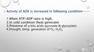 Activity of AOX is increased in following condition----
1.When ATP/ADP ratio is high.
2.In cold condition (heat generate)
3.Presence of α kito acids (pyruvate & glyoxylate) .
4.Drought, temp. generation of O2, H2O2.
 