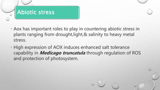 Abiotic stress
• Aox has important roles to play in countering abiotic stress in
plants ranging from drought,light,& salinity to heavy metal
stress.
• High expression of AOX induces enhanced salt tolerance
capability in Medicago truncatula through regulation of ROS
and protection of photosystem.
 