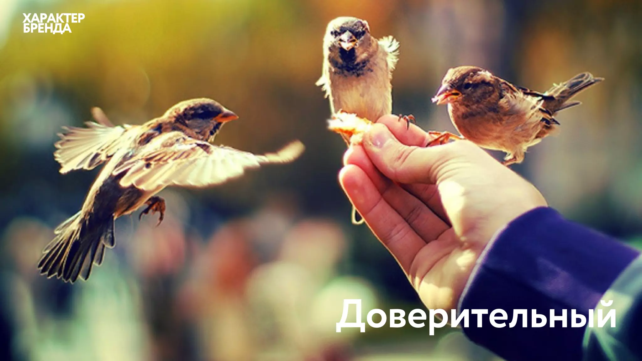 Доверительный
ХАРАКТЕР
БРЕНДА
 