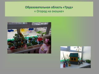 Образовательная область «Труд»
« Огород на окошке»
 