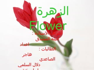 ‫الزهرة‬
‫‪Flower‬‬
‫اشراف التستاذة :‬
‫امينه المشدق‬
‫الطالبات :‬

‫اعداد‬
‫هاجر‬

‫الصاعدي‬
‫دل ل السلمي‬

 