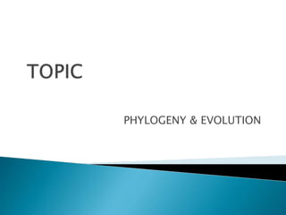 PHYLOGENY & EVOLUTION 
 