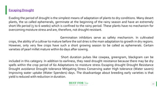 BEST FOR You
O R G A N I C S C O M P A N Y
10
Escaping Drought
Evading the period of drought is the simplest means of adaptation of plants to dry conditions. Many desert
plants, the so called ephemerals, germinate at the beginning of the rainy season and have an extremely
short life period (5 to 6 weeks) which is confined to the rainy period. These plants have no mechanism for
overcoming moisture stress and are, therefore, not drought resistant.
Germination inhibitors serve as safety mechanism. In cultivated
crops, the ability of a cultivar to mature before the soil dries is the main adaptation to growth in dry regions.
However, only very few crops have such a short growing season to be called as ephemerals. Certain
varieties of pearl millet mature within 60 days after sowing.
Short duration pulses like cowpea, greengram, blackgram can be
included in this category. In addition to earliness, they need drought resistance because there may be dry
spells within the crop period of 60 Adaptations to moisture stress Escaping drought Drought Resistance
Drought avoidance Drought tolerance Mitigating Stress Conserving water High tolerance (Water savers)
Improving water uptake (Water Spenders) days. The disadvantage about breeding early varieties is that
yield is reduced with reduction in duration.
 