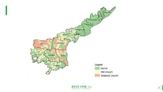 BEST FOR You
O R G A N I C S C O M P A N Y
28
 