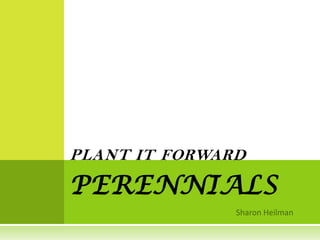 PLANT IT FORWARD

PERENNIALS
 