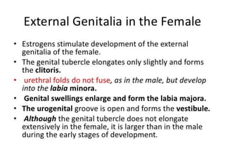 Development of genital system