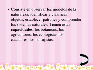 • Consiste en observar los modelos de la
  naturaleza, identificar y clasificar
  objetos, establecer patrones y comprender
  los sistemas naturales. Tienen estas
  capacidades: los botánicos, los
  agricultores, los ecologistas los
  cazadores, los paisajistas.
 