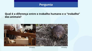 Pergunta
Qual é a diferença entre o trabalho humano e o “trabalho”
dos animais?
©Pixabay
©Pixabay
 