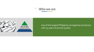 ACCEL PRESENTATION for AV | PPTX
