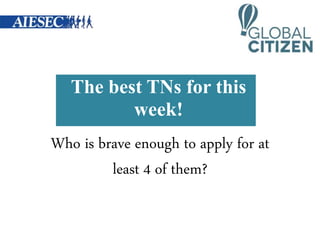 The best TNs for this
week!
Who is brave enough to apply for at
least 4 of them?
 