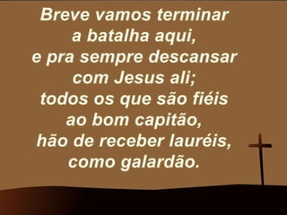 305   campeões da luz