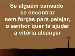 305   campeões da luz