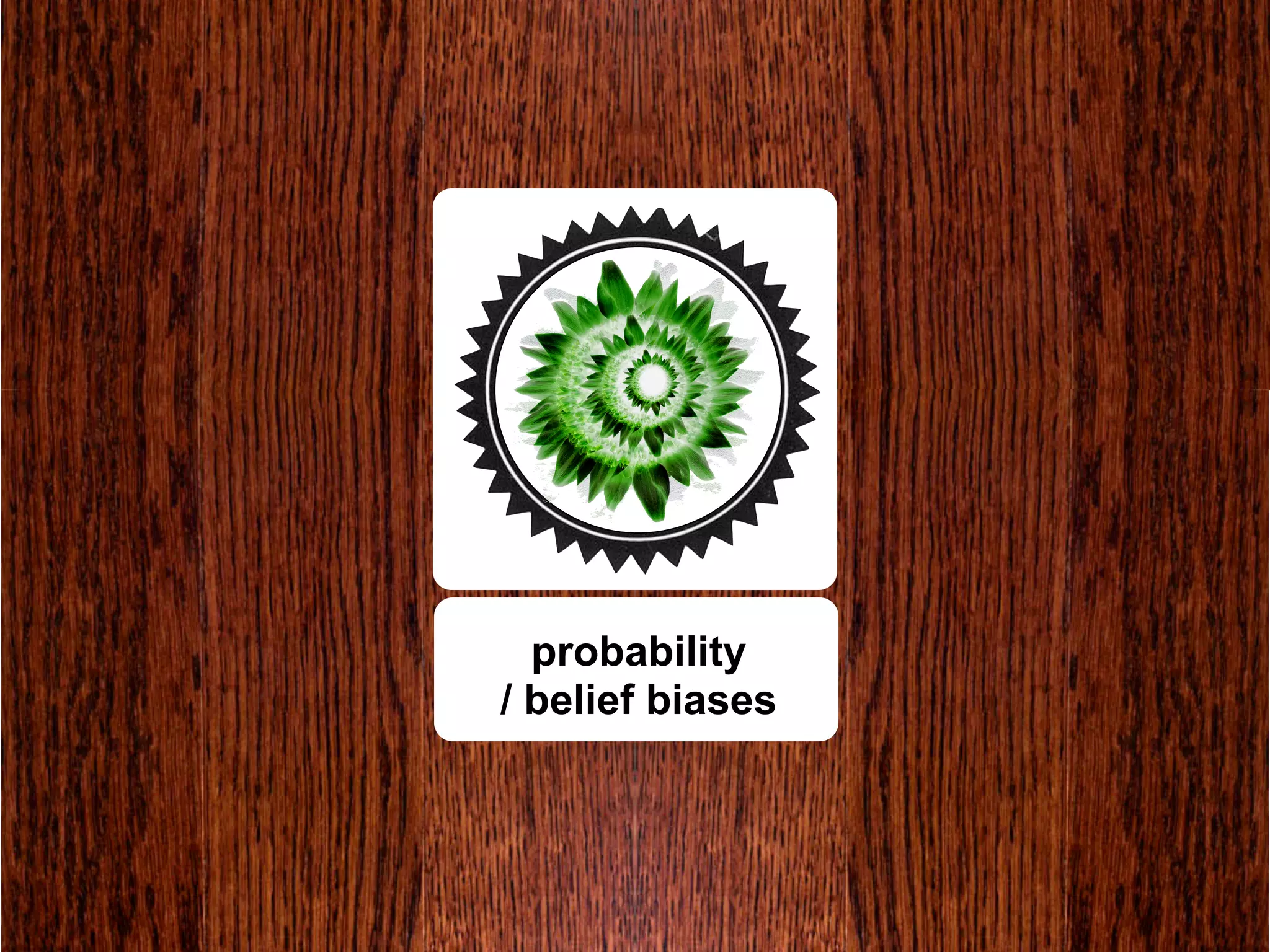 probability
/ belief biases
 