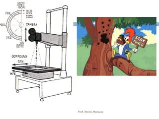 15
Prof. Mario Mancuso
 