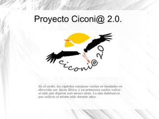 Proyecto Ciconi@ 2.0. En el otoño, las cigüeñas europeas vuelan en bandadas en dirección sur, hacia África, y en primavera suelen volver al nido que dejaron seis meses atrás. Lo más habitual es que utilicen el mismo nido durante años. 