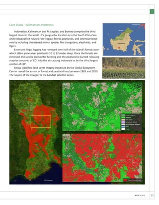 MARCH 2012
Case Study - Kalimantan, Indonesia
	 Indonesian, Kalimantan and Malaysian, and Borneo comprise the third
largest island in the world. It’s geographic location is in the South China Sea
and ecologically it houses rich tropical forest, peatlands, and extensive biodi-
versity including threatened animal species like orangutans, elephants, and
tigers.
	 Extensive illegal logging has removed over half of the island’s forest cover
which often grows over peatlands 10 to 12 meter deep. Once the forests are
removed, the land is drained for farming and the peatland is burned releasing
massive amounts of CO2
into the air causing Indonesia to be the third largest
emitter of CO2
.
	 Below classified land cover images processed by the Global Ecosystem
Center reveal the extent of forest and peatland loss between 1985 and 2010.
The source of the imagery is the Landsat satellite series.
1989
2010
11
 