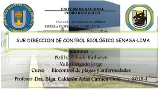 UNIVERSIDA NACIONAL
PEDRO RUIZ GALLO
FACULTAD DE CIENCIAS BIOLÓGICAS
ESCUELA PROFESIONAL DE BIOLOGÍA
SUB DIRECCION DE CONTROL BIOLÓGICO SENASA-LIMA
 