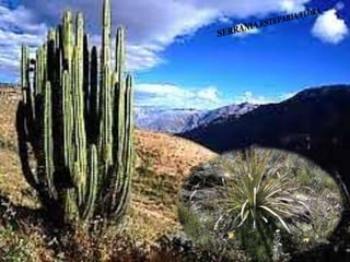 Ecorregiones del Perú