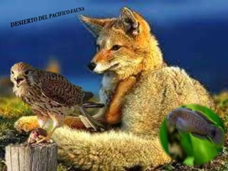 Ecorregiones del Perú