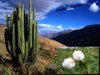 Ecorregiones del Perú