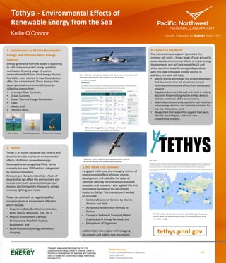 Kellie O’Connor
Pacific Northwest National Laboratory
(206)-528-3423
kellie.o’connor@pnnl.gov
Tethys - Environmental Effects of
Renewable Energy from the Sea
Kellie O’Connor
FileName//FileDate//PNNL-SA-#####
1. Introduction to Marine Renewable
Energy and Offshore Wind Energy
Devices
Energy generated from the ocean is beginning
to add to the renewable energy portfolio
worldwide. Growing usage of marine
renewable and offshore wind energy devices
has led to more interest in how these devices
affect the environment. These devices that
cause potential environmental issues by
collecting energy from:
• In-stream River Currents;
• Ocean Currents;
• Ocean Thermal Energy Conversion;
• Tides;
• Waves; and
• Offshore Wind.
3. My Work This Summer
I engaged in the new and emerging science of
environmental effects of ocean energy
development and added to the value of
Tethys by defining the interactions between
receptors and stressors. I also applied this this
information to many of the documents
hosted on Tethys. The interactions I worked
on included:
• Collision/Evasion of Devices by Marine
Animals and Birds
• Attraction/Avoidance of Animals to
Devices
• Change in Sediment Transport/Water
Quality due to Energy Removal; and
• Entrapment of Organisms.
Additionally I also helped with retagging
documents and adding new documents.
4. Impact of My Work
The interaction and support I provided this
summer will assist a broad range of user groups to
understand environmental effects of ocean energy
development, and will help move the US and
other countries towards energy independence
with this new renewable energy source. In
addition, my work will help:
• Marine energy technology and project developers
find documents that will show them how to
minimize environmental effects from devices and
projects;
• Regulators become informed and assist in making
decisions for permitting marine energy devices
that are protective of the environment;
• Stakeholders better understand the real risks from
ocean energy devices, and minimize concerns for
low risk interactions ; and
• Researchers find research to support their work,
identify research gaps, and make new
collaborative contacts.
2. Tethys
Tethys is an online database that collects and
disseminates documents on environmental
effects of offshore renewable energy.
Developed and managed by PNNL, Tethys
currently has over 2500 entries, categorized
by stressors/receptors.
Stressors are characteristics/side effects of
devices that can effect the environment and
include chemicals; dynamic/static parts of
devices; electromagnetic frequency; energy
removal; lighting; and noise.
These can positively or negatively affect
receptors(parts of environment affected)
which include:
• Organisms (Bats, Benthic Invertebrates,
Birds, Marine Mammals, Fish, etc.);
• Physical Environment (Farfield
Environment, Nearfield Habitat,
Ecosystem); and
• Socio-Economics (fishing, recreation,
shipping) tethys.pnnl.gov
Tidal Turbine Wave Energy Device Offshore Wind Turbine
Albatross – Some seabirds are endangered and could be
at risk for collision with offshore wind turbines
Tethys Knowledge Database- Tethys’s collection of
documents from varying areas of research
Orca - Marine mammals are protected in the marine environment and
risks from collision with tidal turbines must be avoided
The Tethys Map Viewer documents the worldwide span of growing
interest about the environmental effects of marine/offshore wind
renewable energy
This work was supported in part by the U.S.
Department of Energy, Office of Science, Office of
Workforce Development for Teachers and Scientists
(WDTS) under the Community College Internships
Program (CCI).
 