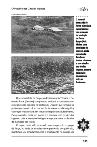 105
O Mistério dos Círculos Ingleses
Um especialista da Empresa de Assistência Técnica e Ex-
tensão Rural (Emater) compareceu ao local e constatou apa-
rente alteração genética na pastagem. O capim que formava os
perímetros dos círculos crescera de forma anormal e adquirira
coloração mais escura, em virtude do rápido amadurecimento.
Nesse aspecto, havia um ponto em comum com os círculos
ingleses, pois a alteração biológica e supostamente molecular
da plantação era visível.
O capim havia sido amassado sem o aparente emprego
de força, ao invés de simplesmente pisoteado ou quebrado,
mantendo seu amadurecimento e crescimento no sentido do
O canavial
amassado de
forma misteriosa
numa fazenda
nos arredores
do município
de Passa
Tempo (MG).
Abaixo, uma
ampliação da
imagem, ainda
inexplicada.
Estudiosos
tentam relacionar
o caso mineiro
aos círculos
ingleses, embora
haja muita
discrepância
entre os
fenômenos
Cortesia Antonio Faleiro
 