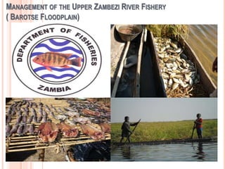 MANAGEMENT OF THE UPPER ZAMBEZI RIVER FISHERY
( BAROTSE FLOODPLAIN)
 