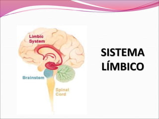 SISTEMA
LÍMBICO
 