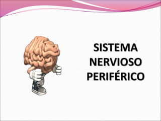 SISTEMA
NERVIOSO
PERIFÉRICO
 