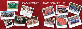 2928
TENIS DE CAMPO (Varones)
1° Carlos Barrera Morello (Ancash)
2° Víctor Villacorta Sandi (Loreto)
3° Christian Warthon Azurin (Cusco)
FUTSAL (Varones)
1° I.E. Alfonso Ugarte (Lima)
FUTSAL (Damas)
1° I.E. Rvdo. Padre Bardo Bayerle (Pasco)
VÓLEY (Varones)
1° I.E. Junior Cesar de los Ríos (Callao)
BALONMANO (Varones)1° I.E. San Luis Gonzaga - (Ica)
BALONMANO (Damas)
1° I.E. Santa Rosa (Lima, Provincias - Norte)
VÓLEY (Damas)
1° I.E. Saco Oliveros (Lima)
BÁSQUET (Damas)
1° I.E. Juan Landazuri Ricketts (Cusco)
FÚTBOL (Damas)
1° I.E. Marcelino Champagnat (La Libertad)
FÚTBOL (Varones)
1° I.E. Mi Jesús (Lima)
NACIONALES 2011CAMPEONES
TENIS DE CAMPO (Damas)1° Angie Esperanza Villalobos Suazo (Lima)2° Evelyn Milagros Castro Milla (Lima)3° Carla Isela Romero Zamata (Puno)
AJEDREZ
Damas: 1° Paula Paredes Bustamante “I.E. Ntra. Sra.
del Perpetuo Socorro” (La Libertad) y 2° Aurora Feliz
Vega “I.E. Saco Oliveros” (Lima)
Varones: 1° Diego Cuellar Oshiro “I.E. Saco Oliveros”
(Lima) y 2° José Martínez Alcantara “I.E. Saco
Oliveros” (Lima)
 
