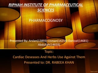 Presented By: Arslan(13893) Usman(14254) Daniyal(14681)
Abdullah(14659)
Topic:
Cardiac Deseases And Herbs Use Against Them
Presented to: DR. RABEEA KHAN
RIPHAH INSTITUTE OF PHARMACEUTICAL
SCIENCES
PHARMACOGNOSY
 