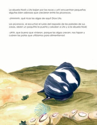 La abuela Nodi y Lito bajan por las rocas y ¡oh! encuentran pequeñas
alguitas bien sabrosas que crecieron entre los picorocos.
-¡Hmmmh, qué ricas las algas de aquí! Dice Lito.
Los picorocos, al escuchar el ruido del raspado de las paredes de sus
casas, abren un poquitito la puerta y saludan a Lito y a la abuela Nodi:
-¡Ahh, que bueno que vinieron, porque las algas crecen, nos tapan y
cubren las patas que utilizamos para alimentarnos!
 