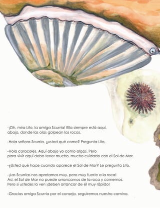 -¡Oh, mira Lito, la amiga Scurria! Ella siempre está aquí,
abajo, donde las olas golpean las rocas.
-Hola señora Scurria, ¿usted qué come? Pregunta Lito.
-Hola caracoles. Aquí abajo yo como algas. Pero
para vivir aquí debo tener mucho, mucho cuidado con el Sol de Mar.
-¿Usted qué hace cuando aparece el Sol de Mar? Le pregunta Lito.
-¡Las Scurrias nos apretamos muy, pero muy fuerte a la roca!
Así, el Sol de Mar no puede arrancarnos de la roca y comernos.
Pero si ustedes lo ven ¡deben arrancar de él muy rápido!
-Gracias amiga Scurria por el consejo, seguiremos nuestro camino.
 