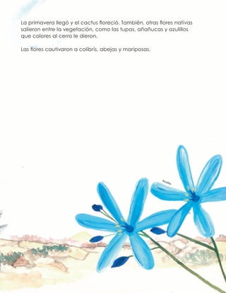 La primavera llegó y el cactus floreció. También, otras flores nativas
salieron entre la vegetación, como las tupas, añañucas y azulillos
que colores al cerro le dieron.
Las flores cautivaron a colibrís, abejas y mariposas.
Azulillo
 