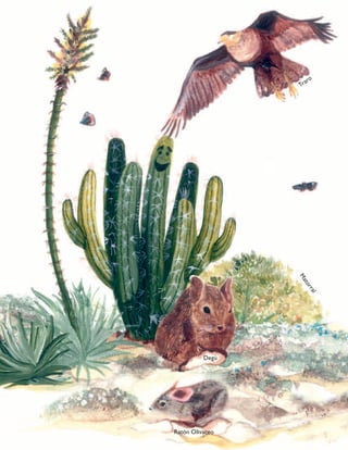 Traro
Matorral
Degú
Ratón Olivaceo
 