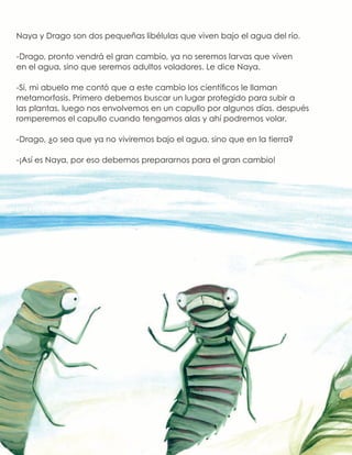 Naya y Drago son dos pequeñas libélulas que viven bajo el agua del río.
-Drago, pronto vendrá el gran cambio, ya no seremos larvas que viven
en el agua, sino que seremos adultos voladores. Le dice Naya.
-Sí, mi abuelo me contó que a este cambio los científicos le llaman
metamorfosis. Primero debemos buscar un lugar protegido para subir a
las plantas, luego nos envolvemos en un capullo por algunos días, después
romperemos el capullo cuando tengamos alas y ahí podremos volar.
-Drago, ¿o sea que ya no viviremos bajo el agua, sino que en la tierra?
-¡Así es Naya, por eso debemos prepararnos para el gran cambio!
 