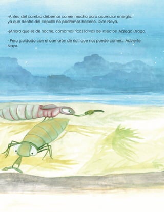 -Antes del cambio debemos comer mucho para acumular energía,
ya que dentro del capullo no podremos hacerlo. Dice Naya.
-¡Ahora que es de noche, comamos ricas larvas de insectos! Agrega Drago.
- Pero ¡cuidado con el camarón de río!, que nos puede comer... Advierte
Naya.
 