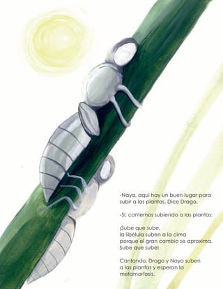 -Naya, aquí hay un buen lugar para
subir a las plantas. Dice Drago.
-Sí, cantemos subiendo a las plantas:
¡Sube que sube,
la libélula suben a la cima
porque el gran cambio se aproxima.
Sube que sube!
Cantando, Drago y Naya suben
a las plantas y esperan la
metamorfosis.
 