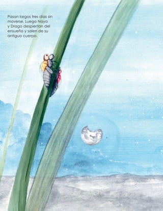 Pasan largos tres días sin
moverse. Luego Naya
y Drago despiertan del
ensueño y salen de su
antiguo cuerpo.
 