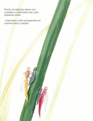 Pronto, las libélulas abren con
cuidado sus delicadas alas, que
dobladas están.
- Hola Naya, ¡mira qué grande son
nuestras alas y cuerpo!
 
