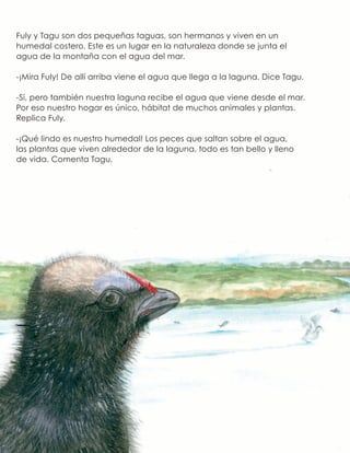 Fuly y Tagu son dos pequeñas taguas, son hermanos y viven en un
humedal costero. Este es un lugar en la naturaleza donde se junta el
agua de la montaña con el agua del mar.
-¡Mira Fuly! De allí arriba viene el agua que llega a la laguna. Dice Tagu.
-Sí, pero también nuestra laguna recibe el agua que viene desde el mar.
Por eso nuestro hogar es único, hábitat de muchos animales y plantas.
Replica Fuly.
-¡Qué lindo es nuestro humedal! Los peces que saltan sobre el agua,
las plantas que viven alrededor de la laguna, todo es tan bello y lleno
de vida. Comenta Tagu.
 