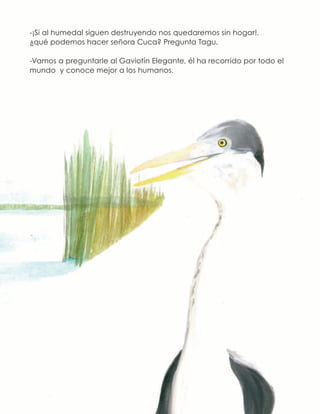 -¡Si al humedal siguen destruyendo nos quedaremos sin hogar!,
¿qué podemos hacer señora Cuca? Pregunta Tagu.
-Vamos a preguntarle al Gaviotín Elegante, él ha recorrido por todo el
mundo y conoce mejor a los humanos.
 